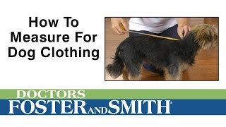 How to Measure Your Dog for Clothing | DrsFosterSmith.com by Drs. Foster and Smith Pet Supplies 908 views 7 years ago 1 minute, 8 seconds