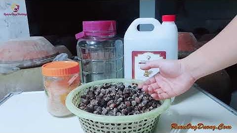 Cách Ngâm Rượu Sim | Công thức đơn giảm mà ngon