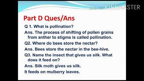Class 4 Science Chapter 6 Part7