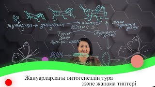 Жануарлардағы онтогенездің тура және жанама типтері. 7 сынып.