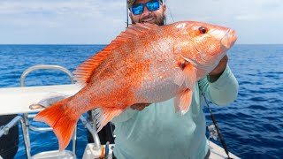 CRAZY Offshore Fishing Florida Middle Grounds (80 Miles)