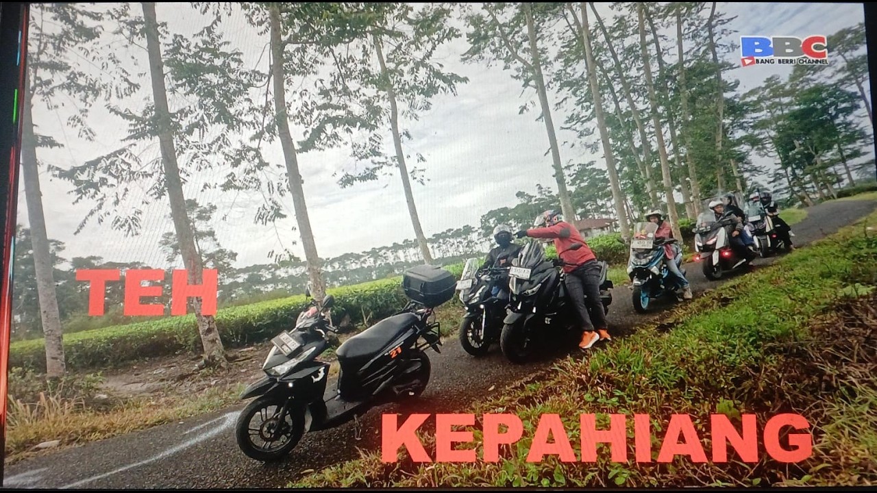 KEBUN TEH KEPAHIANG BENGKULU