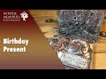 Birthday Present | Steampunk scrapbook mini album walkthrough | #304