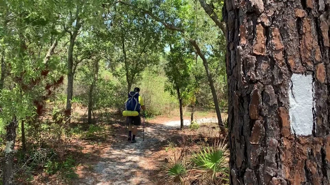 Take A Hike! Tiger Creek Preserve YouTube