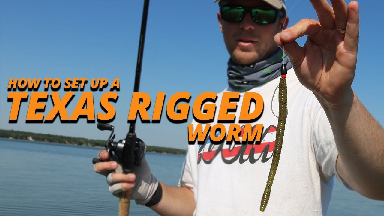 How to Set Up a Texas Rigged Worm w/ Patrick Walters