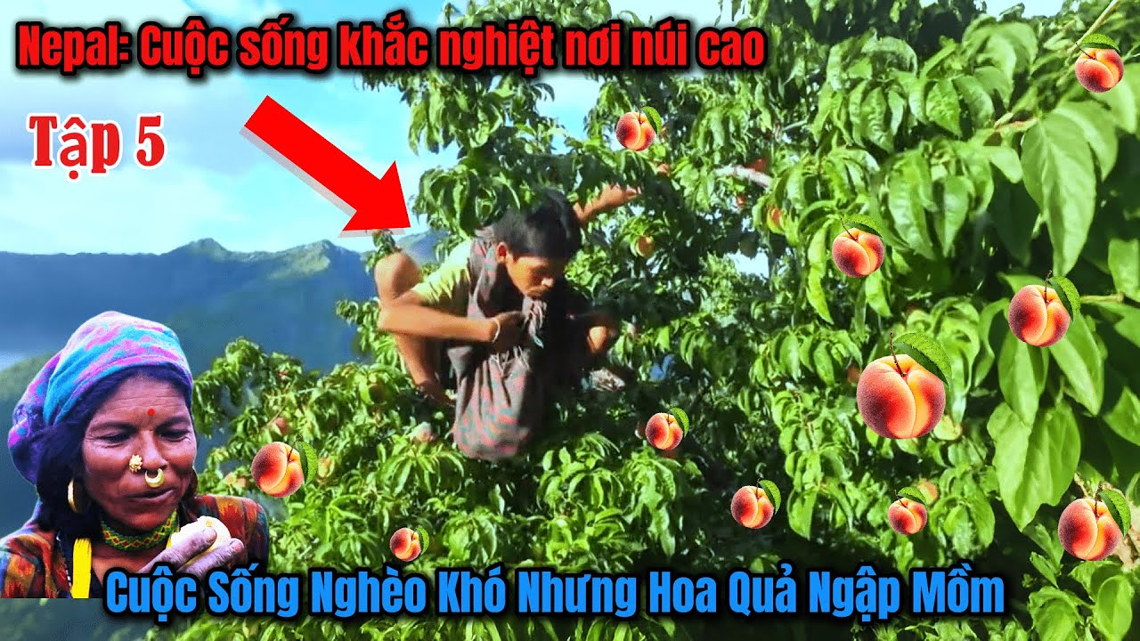 Tập 5 - Vùng Núi Nghèo Nepal - Cuộc sống ẩn mình sau dãy Himalaya