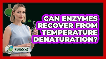 Can Enzymes Recover From Temperature Denaturation?
