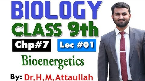 Bioenergetics | Chapter 7 | 9th class Biology | Lec 1