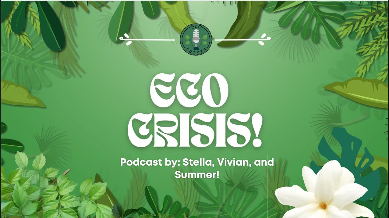 Eco Crisis - Biodiversity