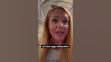 Morning routine checking in on our Northern Bobwhite Quail Breeders #quail  #poultry #naturesounds