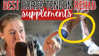 BEST Supplements for Horse Tendon Injury Rehab