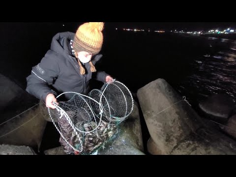 통발 미끼가 필요없다. 던지면 수백마리 쏟아진다!