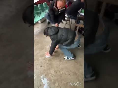 Https Www Instagram Com Reel DSz5u9tCUG7 Igsh DWh5OXptbDI4bXEy 