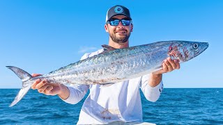 How to Catch Kingfish on Live Bait!