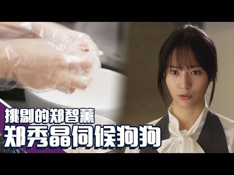 [Chinese SUB] Watch how much Jung JiHoon(Rain) loves his dog | My Lovely Girl