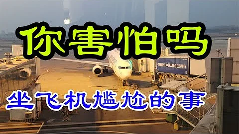 真人真事！在飞机上“千万不要”说这种话？否则结果变成这样 - 天天要闻