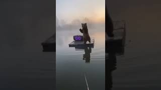 А на маленьком плоту, плывет медведь 🐻🐻🐻. #aivideo #юмор #смешноевидео #приколы #sora2