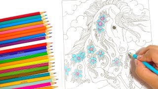 Coloring A Magical Unicorn Time Lapse - Adult Coloring Pages