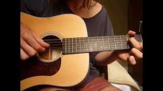 Walden 12 String For Sale