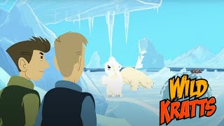 Wild Kratts Season 1 Episode 7 -- Polar Bears Don't Dance (Full Episode)