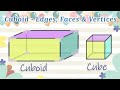 Understanding Cuboids and Cubes