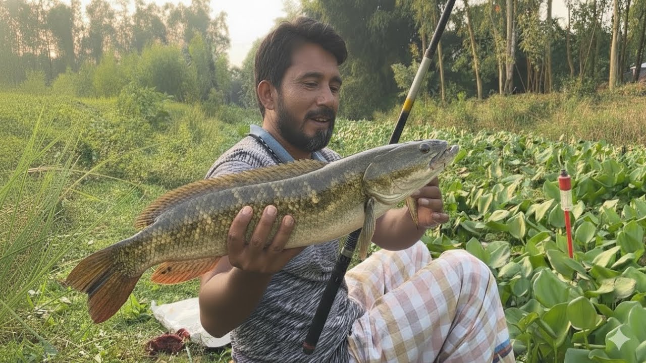 Aziz Fish Village hook Fishing video Oman fish by watching the boy aziz fishing 🎣 ...