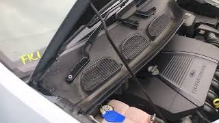 IMG 6735