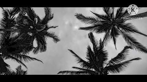 من آيات الذكر الحكيم من سورة الرعد من آية 7-14