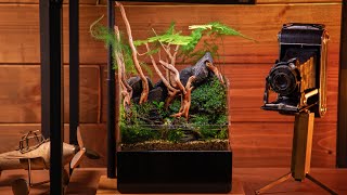 Building THE WORLD'S SMALLEST paludarium