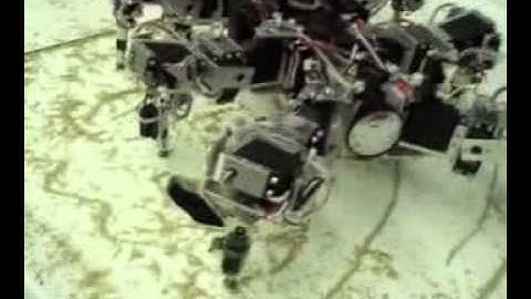 The six-legged walking machine AMOS-WD06 in action