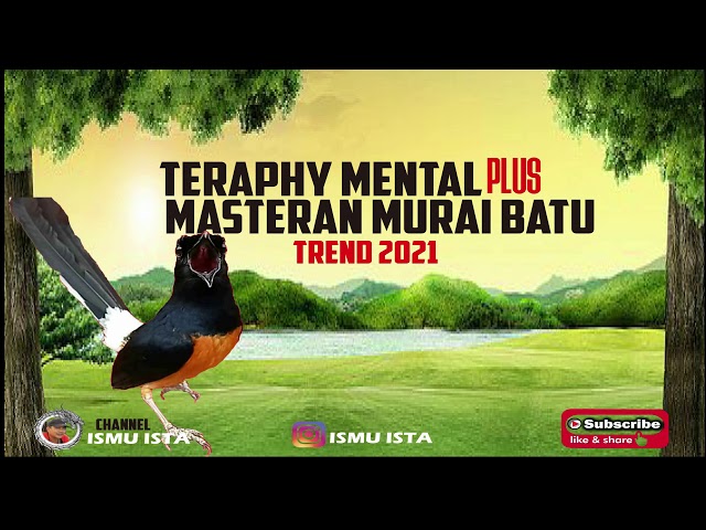 Teraphy Mental Plus Masteran Murai Batu Trend 2021 class=