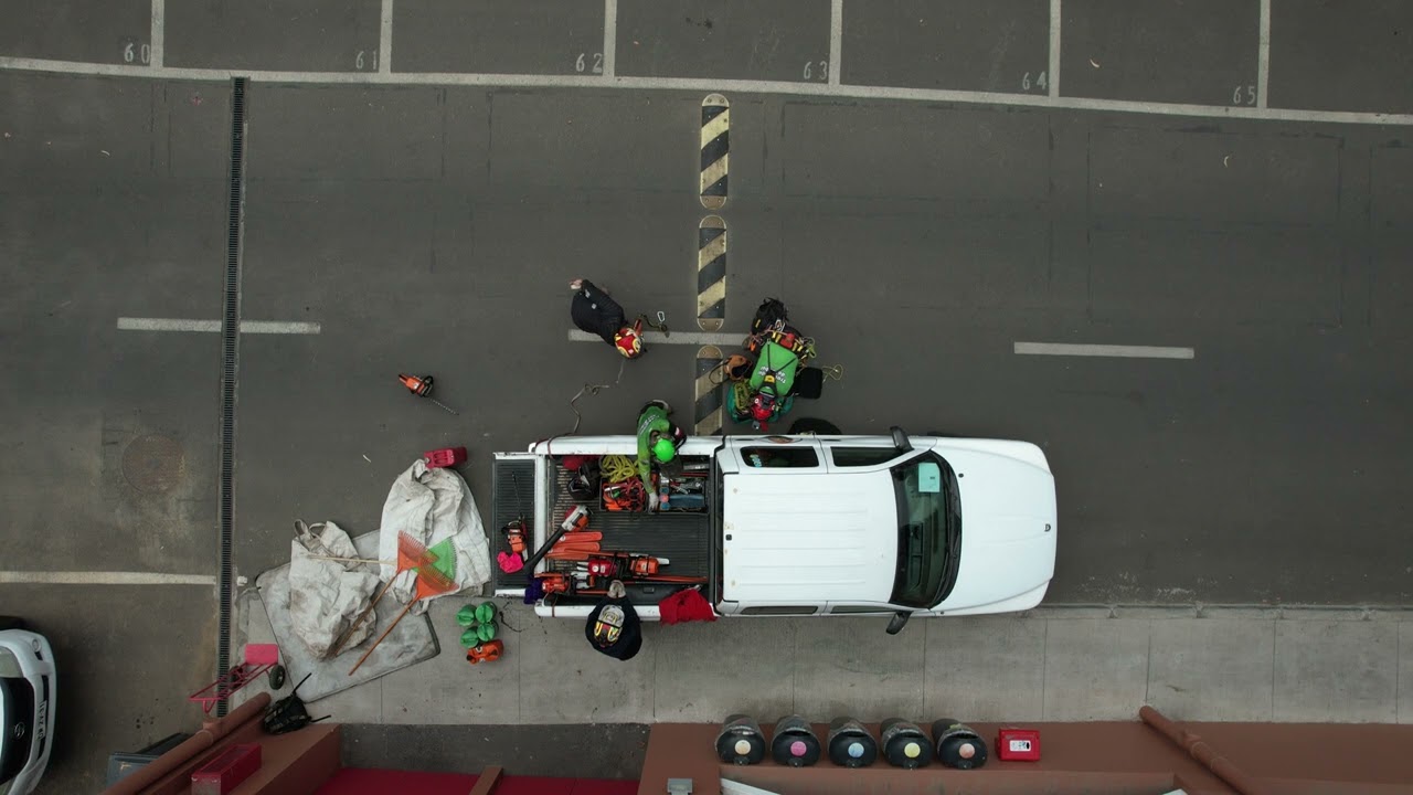 Imagen 27 de servicio