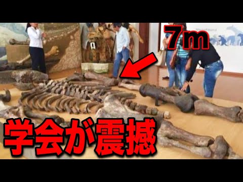 ジャングルで発見された巨人の証拠に考古学界が震撼しています...アマゾンに実在した宇宙人巨人都市の正体と日本では報道されない決定的証拠 【都市伝説】