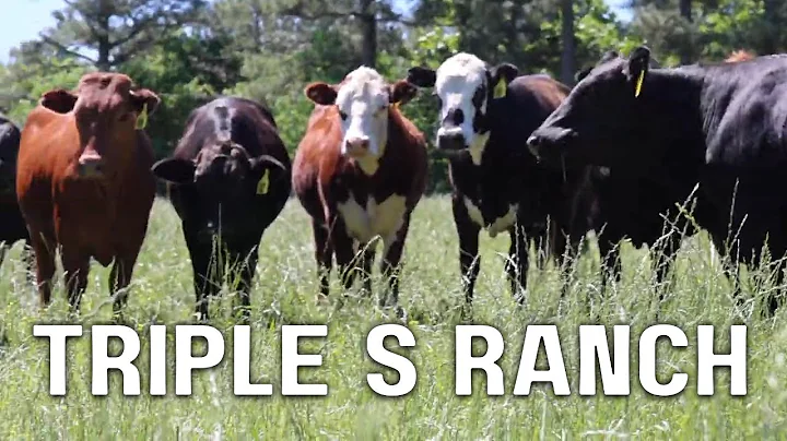 Triple S Ranch | Scott & Sherry Sullivan
