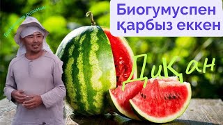 :   
