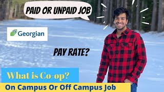 All About Coop | Is it worth it or not? | Georgian College | Field Job | Fulltime Job