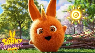 SUNNY BUNNIES COMPILATIONS  THE BEST OF SEASON 6 | Cartoons for Kids