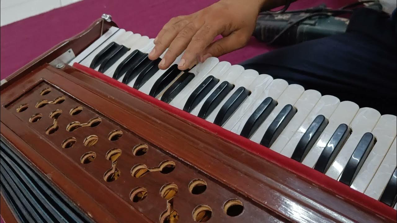 How to play Nagin Dhun on Harmonium Nagin Dhun live by sardar ji 🥰