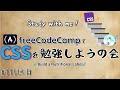 【study with me】 初心者がfreeCodeCampでプログラミングを学ぶ会 #115 Build a Nutrition Label