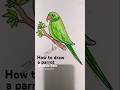 How to draw parrot step by step | Tiya pakhi drawing | টিয়া পাখি আঁকা #shorts #drawing #birddrawing