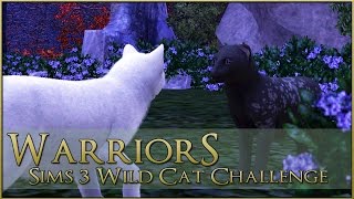 A Branching Path 🌿 Warrior Cats Sims 3 Legacy - Episode #29