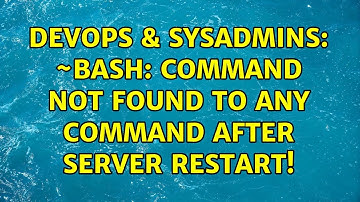 DevOps & SysAdmins: ~bash: command not found to any command after server restart!