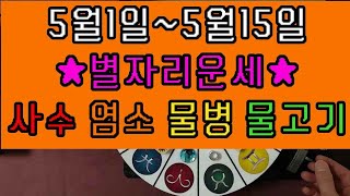 [5/1~5/15] 사수 염소 물병 물고기