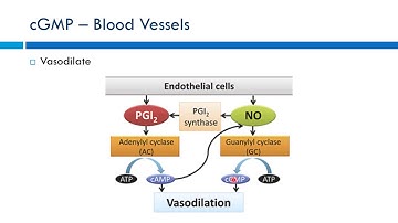 Unit 2 - Secondary Messenger and Dose Response