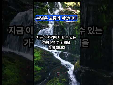분별은 고통의 씨앗이다 #알아차림 #분별심