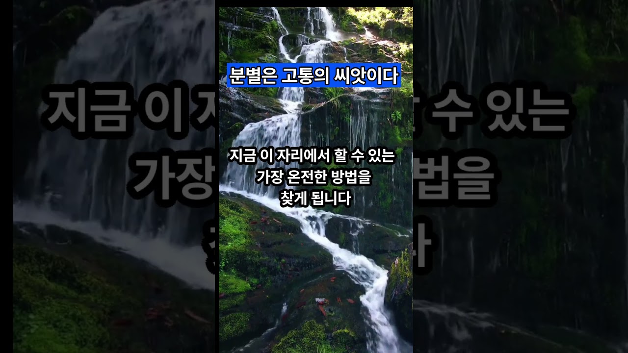 분별은 고통의 씨앗이다 #알아차림 #분별심 — Transcript