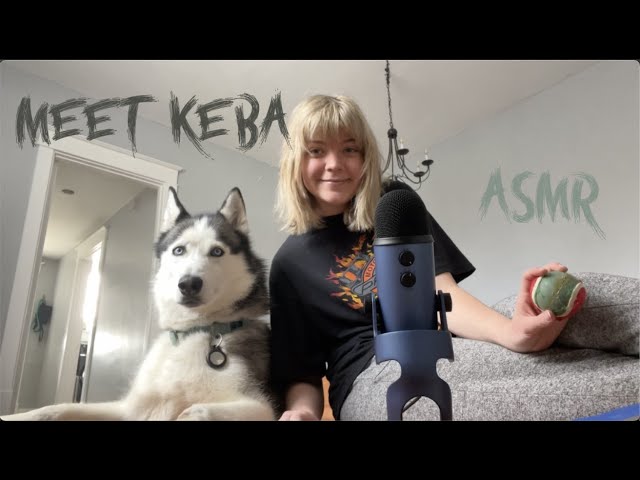 asmr meet Keba! 🐺 the dog content we all love and need (brushing, petting)