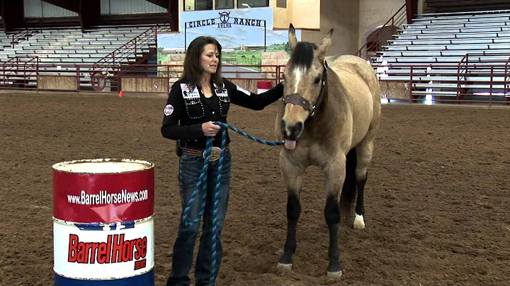 Lisa Lockhart Introduction on TrainingBarrelHo...