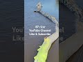 Driftwood
