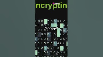 How to encrypt your message in md5 method #coding #anotherbrickinthewall #news